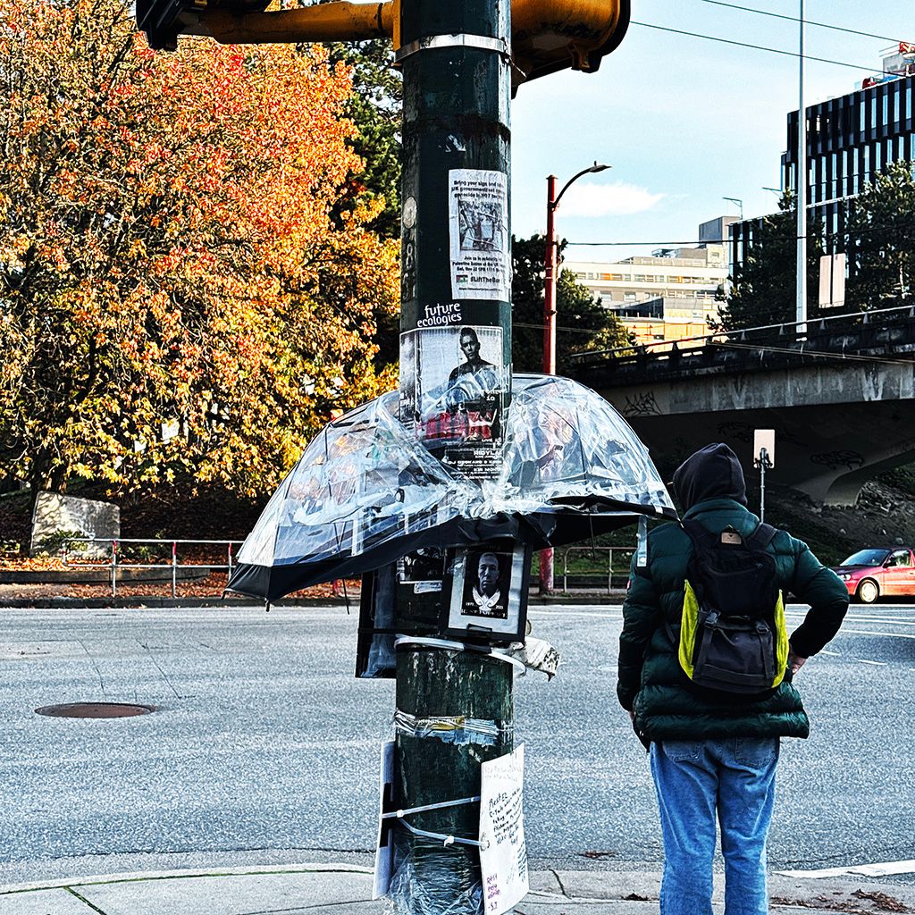 Photos of November 2025