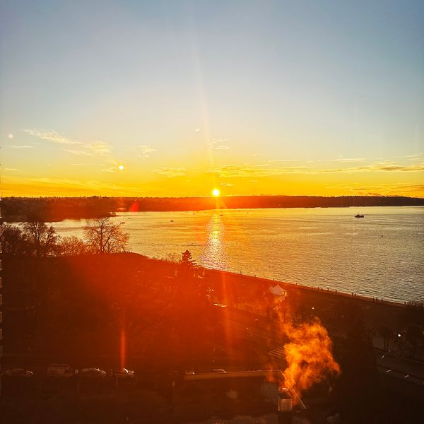 Photos of December 2025